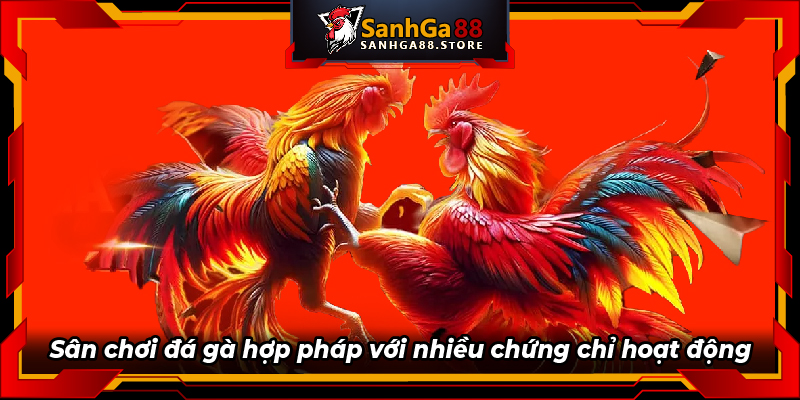 Sân chơi đá gà hợp pháp với nhiều chứng chỉ hoạt động