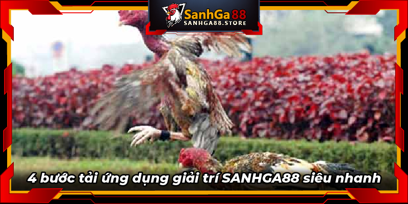 Thư viện khuyến mãi của nhà cái với nhiều chương trình hấp dẫn