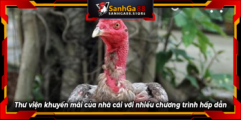 4 bước tải ứng dụng giải trí SANHGA88 siêu nhanh